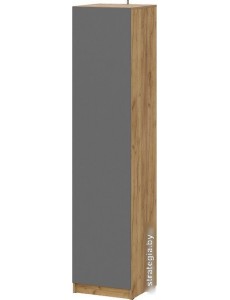 Шкаф-пенал NN мебель Авиньон 00-00112206 (дуб крафт золотой/графит серый)