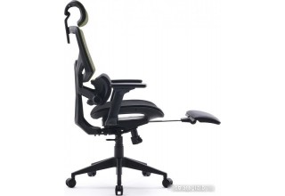 CACTUS CS-CHR-MC01-LGNBK (черный/салатовый)