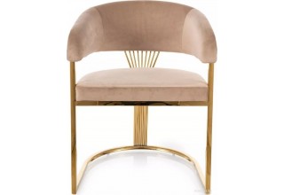 Signal Crown Velvet Bluvel 28 (бежевый/золотой)