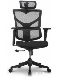 Офисное кресло Ergostyle Sail E-Pro SAE-MF01N (черный/черный)