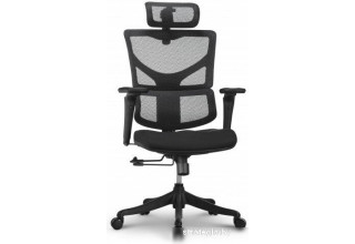 Ergostyle Sail E-Pro SAE-MF01N (черный/черный)