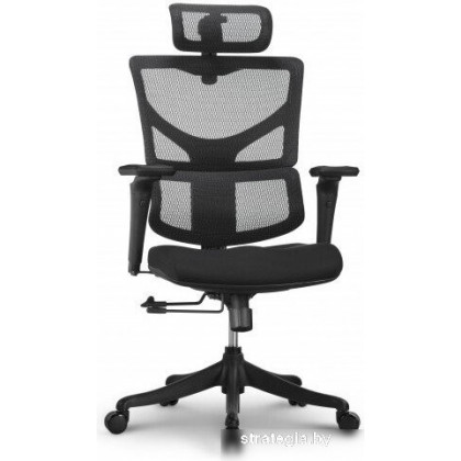 Ergostyle Sail E-Pro SAE-MF01N (черный/черный)