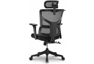 Ergostyle Sail E-Pro SAE-MF01N (черный/черный)