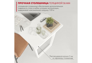 Домус СП013 12.013.403.01 (белый/металл белый)