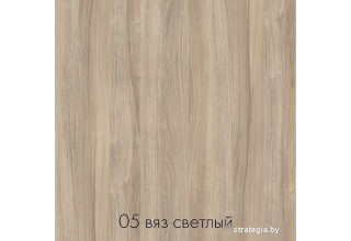 Домус СП013 12.013.403.06 (вяз светлый/металл белый)