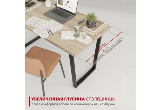 Домус СП013 12.013.403.07 (вяз светлый/металл черный)