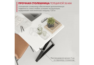 Домус СП014 12.014.403.02 (белый/металл черный)