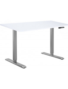 Стол для работы стоя ErgoSmart Manual DESKFIT DF100 1200х650х25 мм (альпийский белый/серый)