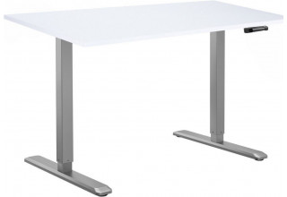ErgoSmart Manual DESKFIT DF100 1200х650х25 мм (альпийский белый/серый)