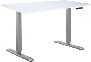 ErgoSmart Manual DESKFIT DF100 1200х650х18 мм (альпийский белый/серый)