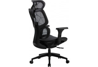 CACTUS CS-MC555-BK (черный)