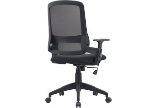 CACTUS CS-MC313-BK (черный)