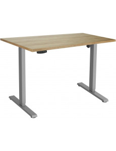 Стол с регулировкой высоты ErgoSmart Electric Desk Slim 1200х650х25 мм (дуб натуральный/серый)